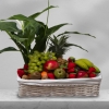 Cesta de Frutas Lisboa